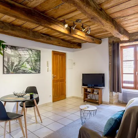 Le Mulet Apartment Cremieu